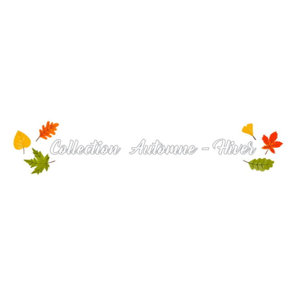 Déco Vitrine saison automne feuilles