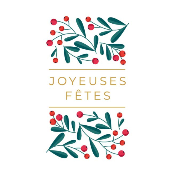 decoration de noel pour vitrine