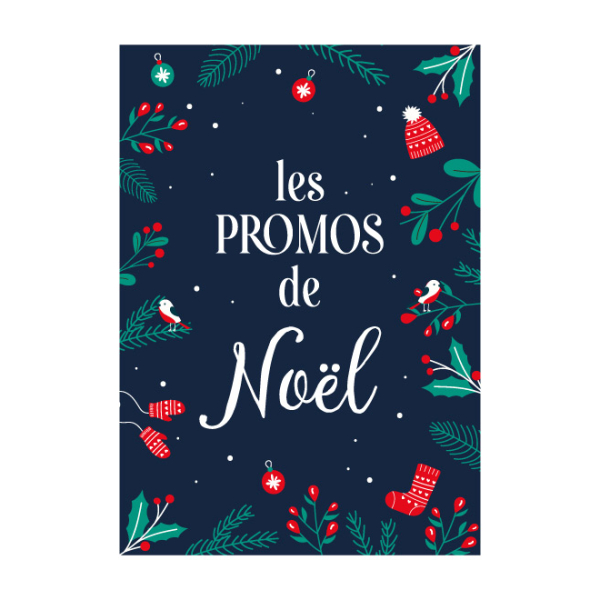 Affiche Les Promos de Noël