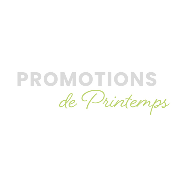Lettrage Promotion de Printemps PM040